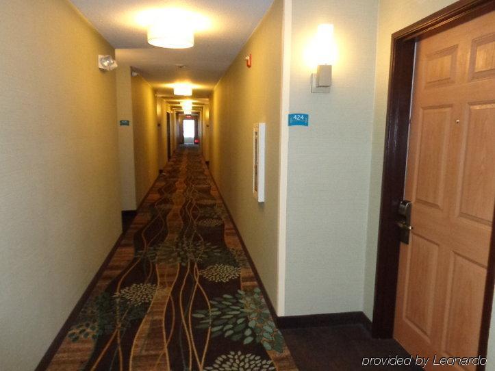 Staybridge Suites Colorado Springs North By Ihg Exterior photo